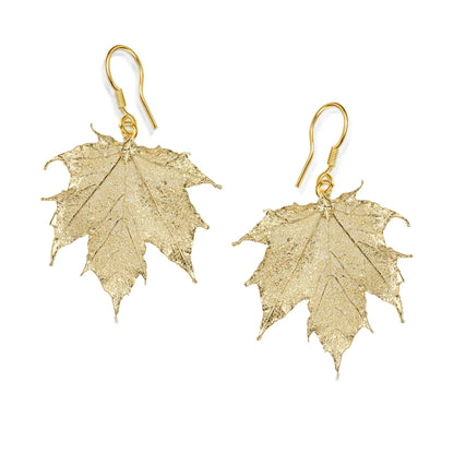 Pendientes de hoja de arce canadiense real bañados en oro: joyería natural hecha a mano
