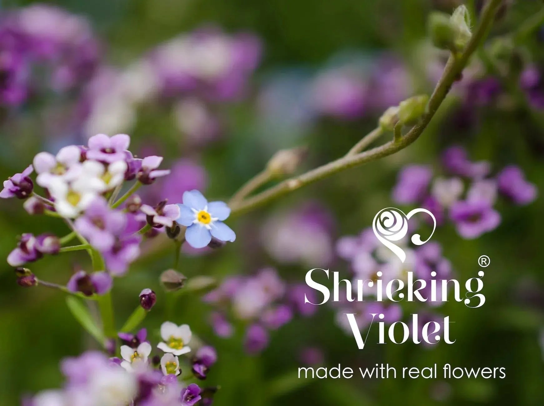 Shrieking Violet® के असली फूलों वाला असली फूलों का हार, स्टर्लिंग सिल्वर ओवल पेंडेंट के साथ। माली, फूलवाला, प्रकृति प्रेमियों के लिए विचारशील उपहार